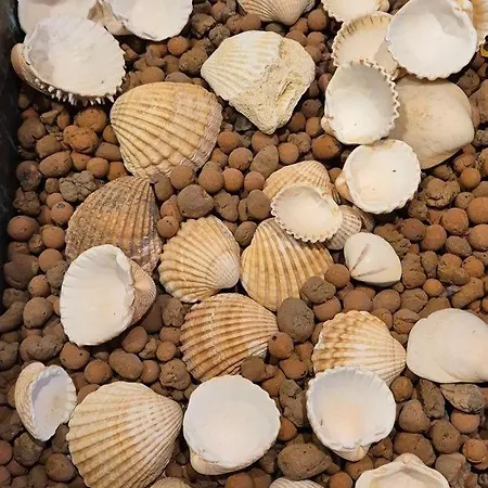 In Historischer An Der Emser Therme Inkl Parkplatz Am We شقة باد ايمس