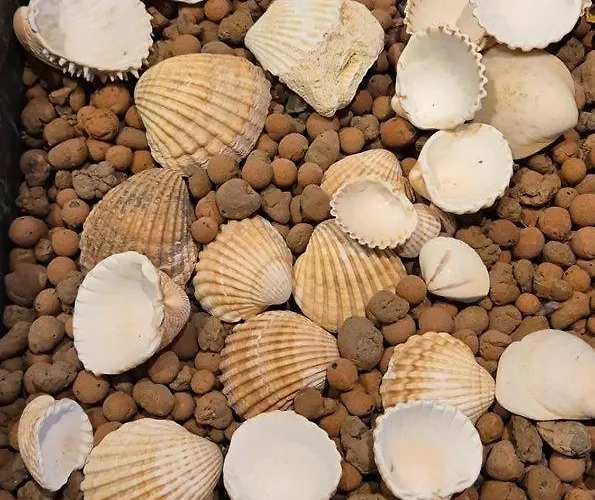 In Historischer An Der Emser Therme Inkl Parkplatz Am We Apartamento Bad Ems